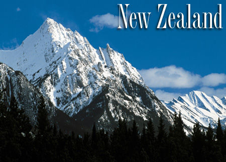 Sinh hoạt hằng ngày ở New Zealand